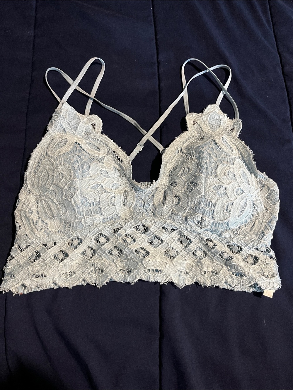 Anemone Lace Bralette in Light Gray